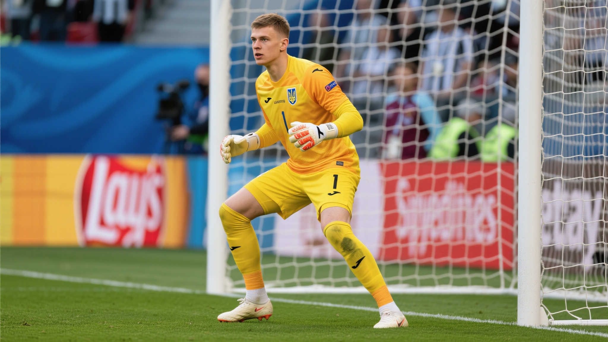 数上都占据 数上都占据